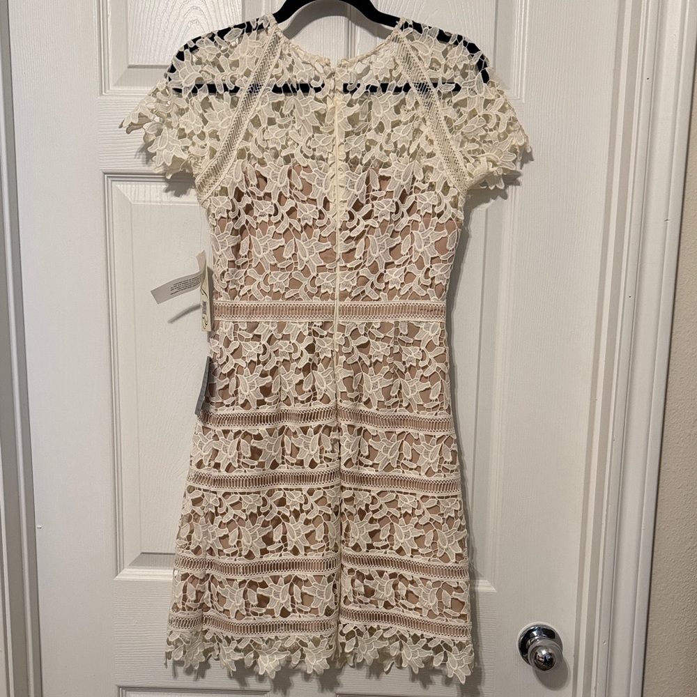 Eliza J Lace Dress | Ivy White | Size 2 | NWT | Bridal / Engagement / Shower - Picture 6 of 8